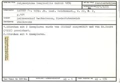 Karteikarte zum Paralectotyp von Polymorphina longicollis Karrer, 1870